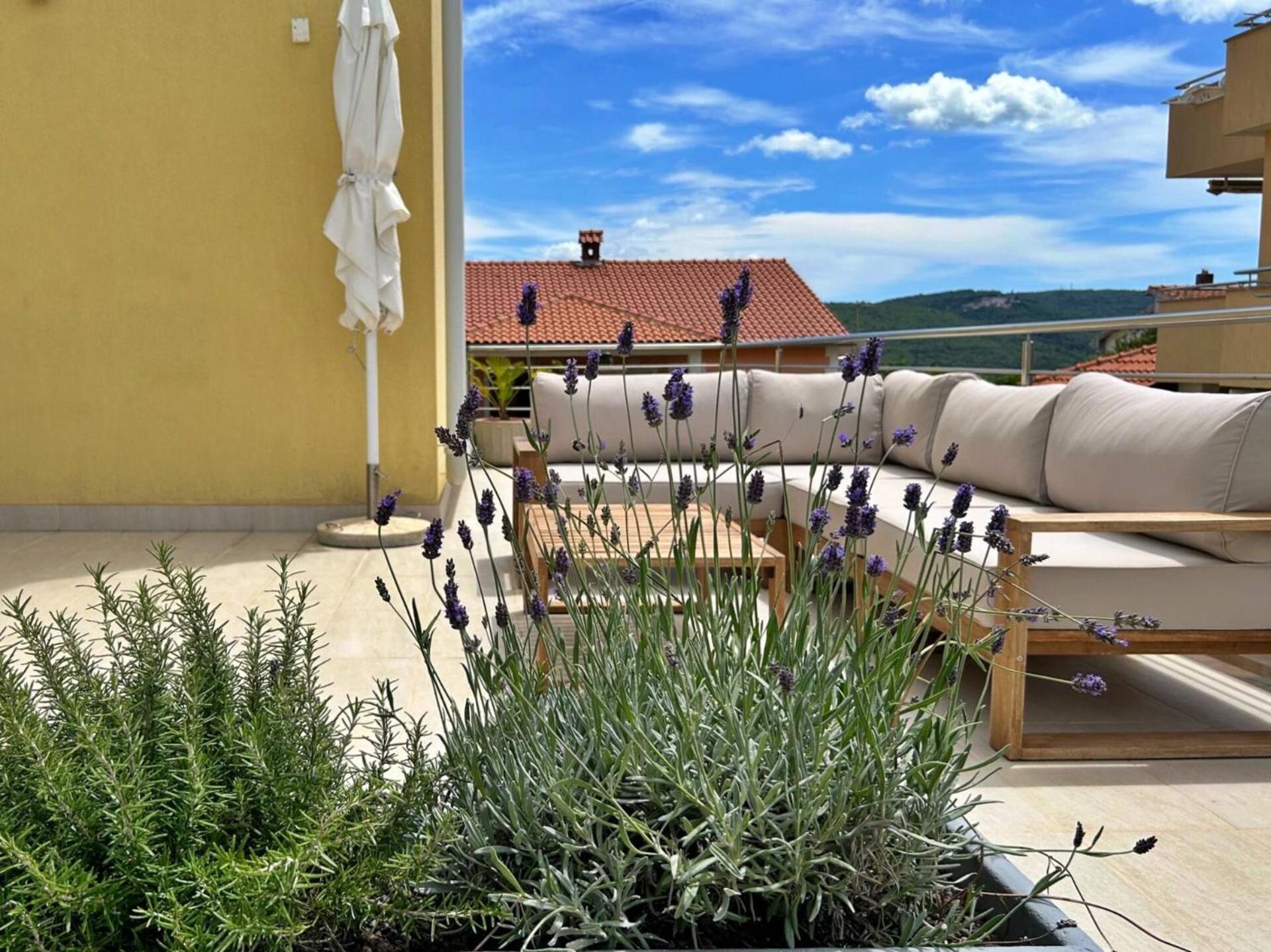 Apartments Pinta De Sol Guest house
